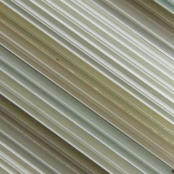 Gekleurd glas01-750.jpg